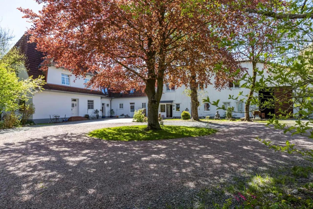 Denkerhof Ferienwohnung Deichblick Reußenköge Extérieur photo